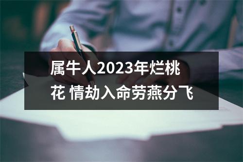 <h3>属牛人2025年烂桃花情劫入命劳燕分飞