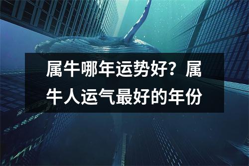 <h3>属牛哪年运势好？属牛人运气好的年份