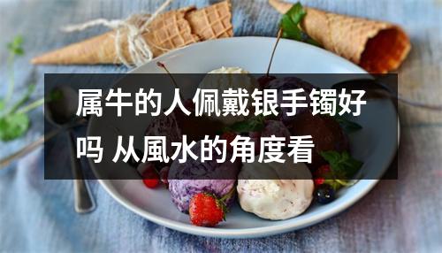 <h3>属牛的人佩戴银手镯好吗从風水的角度看