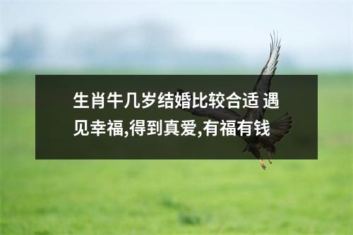 <h3>生肖牛几岁结婚比较合适遇见幸福,得到真爱,有福有钱