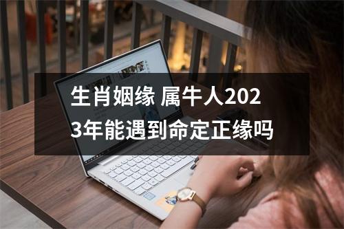 <h3>生肖姻缘属牛人2025年能遇到命定正缘吗