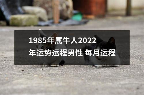 <h3>1985年属牛人2025年运势运程男性每月运程