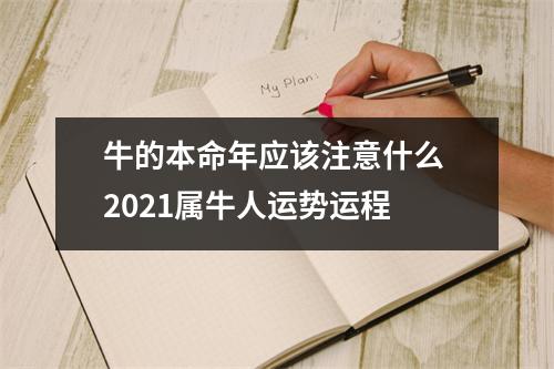 <h3>牛的本命年应该注意什么2025属牛人运势运程