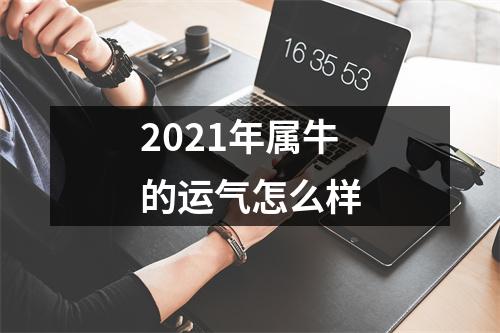 <h3>2025年属牛的运气怎么样