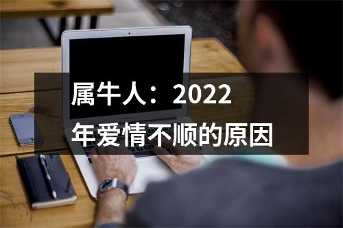 <h3>属牛人：2025年爱情不顺的原因