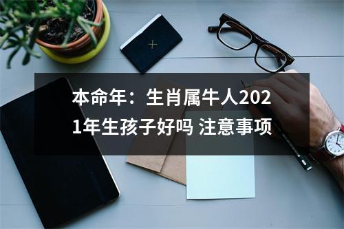 <h3>本命年：生肖属牛人2025年生孩子好吗注意事项