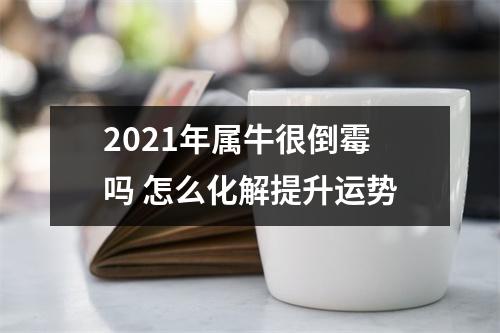 <h3>2025年属牛很倒霉吗怎么化解提升运势