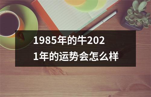 <h3>1985年的牛2025年的运势会怎么样