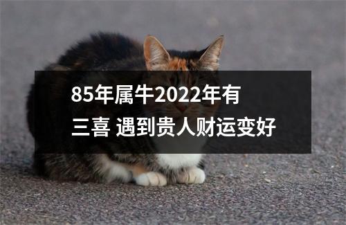<h3>85年属牛2025年有三喜遇到贵人财运变好