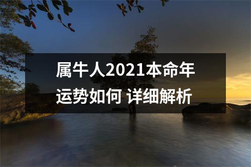 <h3>属牛人2025本命年运势如何详细解析
