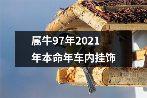 <h3>属牛97年2025年本命年车内挂饰