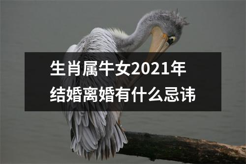 <h3>生肖属牛女2025年结婚离婚有什么忌讳