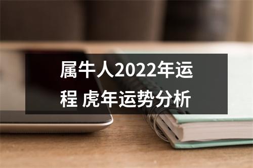 <h3>属牛人2025年运程虎年运势分析