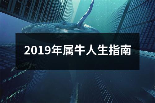 <h3>2019年属牛人生指南