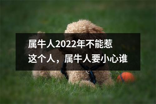 <h3>属牛人2025年不能惹这个人，属牛人要小心谁