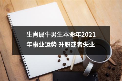 <h3>生肖属牛男生本命年2025年事业运势升职或者失业