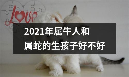 <h3>2025年属牛人和属蛇的生孩子好不好