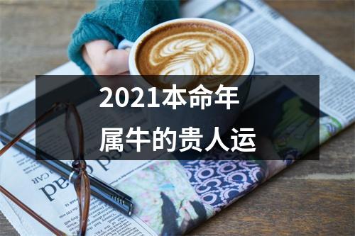 <h3>2025本命年属牛的贵人运