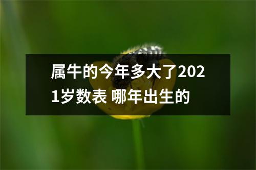 <h3>属牛的今年多大了2025岁数表哪年出生的