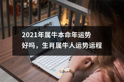 <h3>2025年属牛本命年运势好吗，生肖属牛人运势运程