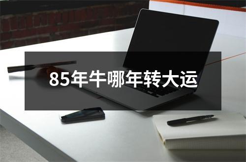<h3>85年牛哪年转大运