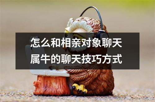 <h3>怎么和相亲对象聊天属牛的聊天技巧方式