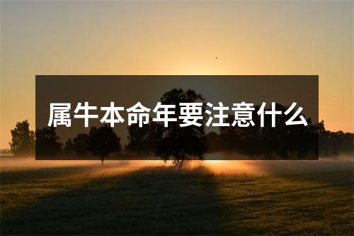 <h3>属牛本命年要注意什么