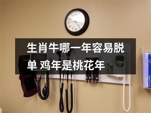 <h3>生肖牛哪一年容易脱单鸡年是桃花年