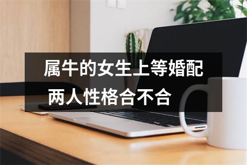 <h3>属牛的女生上等婚配两人性格合不合