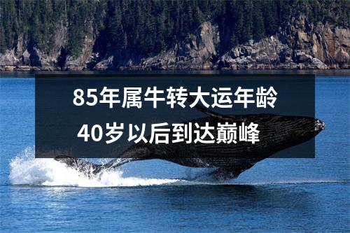 <h3>85年属牛转大运年龄40岁以后到达巅峰