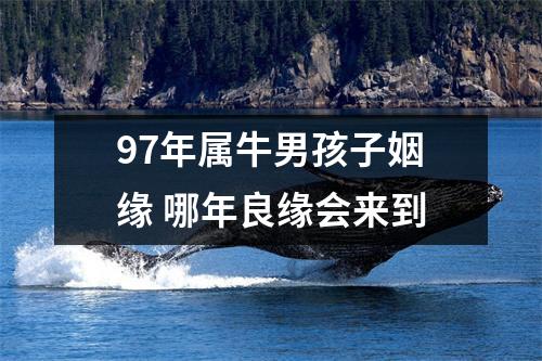 97年属牛男孩子姻缘哪年良缘会来到