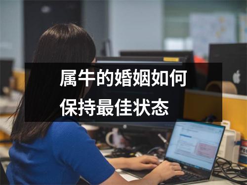 <h3>属牛的婚姻如何保持佳状态