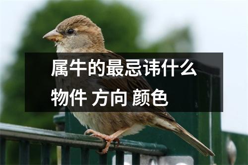 <h3>属牛的忌讳什么物件方向颜色