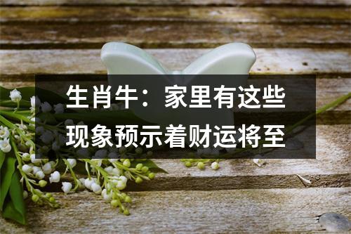 <h3>生肖牛：家里有这些现象预示着财运将至