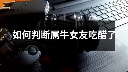 <h3>如何判断属牛女友吃醋了