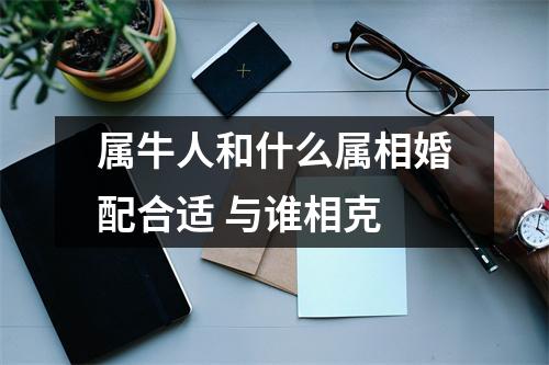 <h3>属牛人和什么属相婚配合适与谁相克