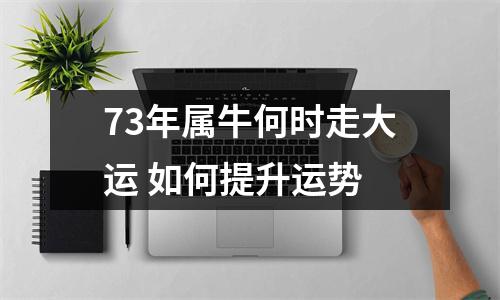 <h3>73年属牛何时走大运如何提升运势