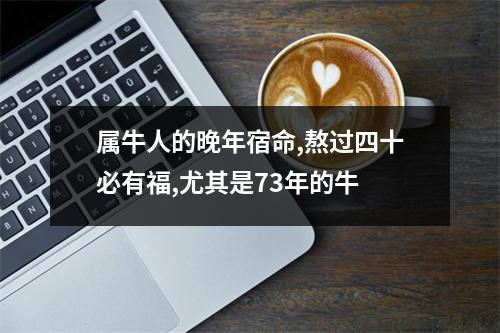 <h3>属牛人的晚年宿命,熬过四十必有福,尤其是73年的牛