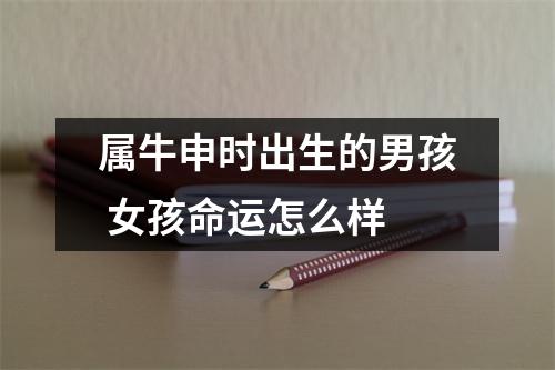 <h3>属牛申时出生的男孩女孩命运怎么样