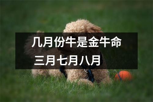 <h3>几月份牛是金牛命三月七月八月