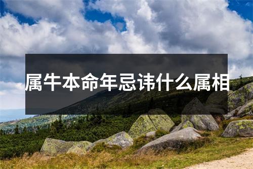 <h3>属牛本命年忌讳什么属相