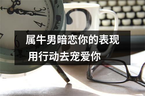属牛男暗恋你的表现用行动去宠爱你