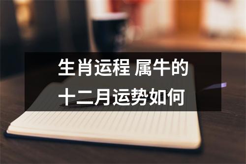 <h3>生肖运程属牛的十二月运势如何