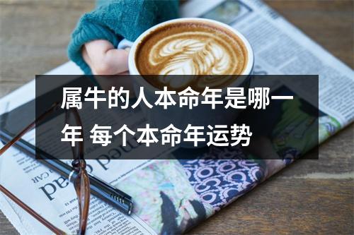 <h3>属牛的人本命年是哪一年每个本命年运势