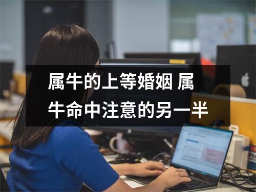<h3>属牛的上等婚姻属牛命中注意的另一半