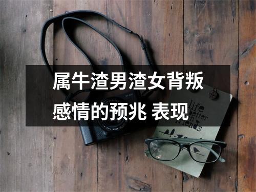 属牛渣男渣女背叛感情的预兆表现