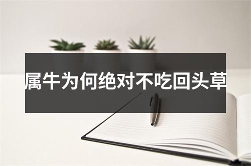 <h3>属牛为何绝对不吃回头草