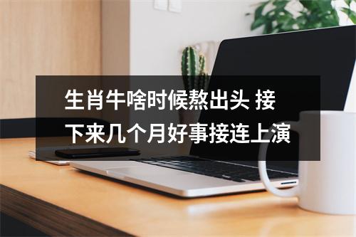 <h3>生肖牛啥时候熬出头接下来几个月好事接连上演