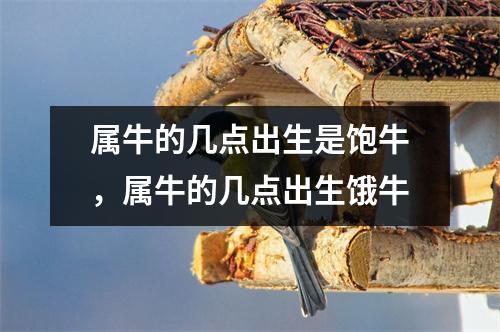<h3>属牛的几点出生是饱牛，属牛的几点出生饿牛