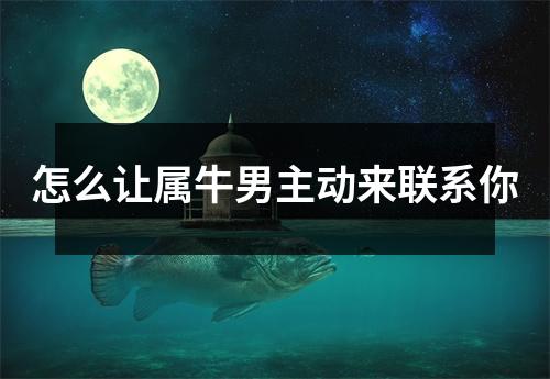 <h3>怎么让属牛男主动来联系你